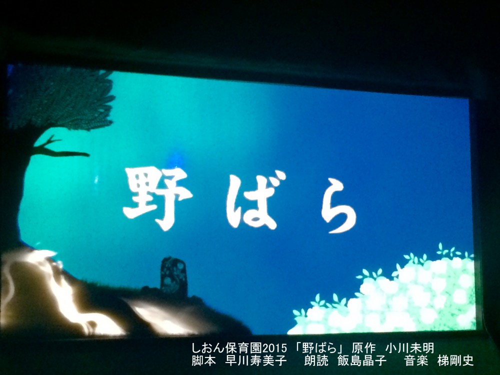 63c38399e2759fbdc0592a3e91653845